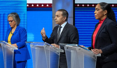 Illinois Senate primary tests Democrats' anti-ICE message