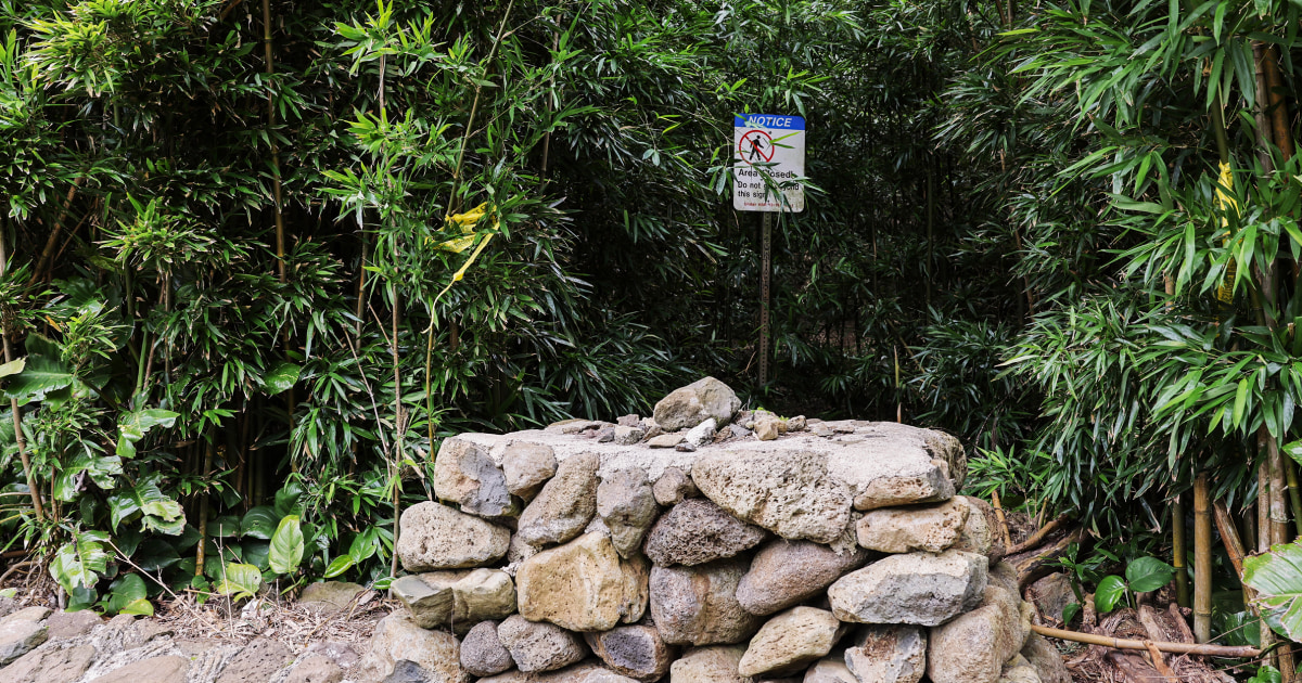 Wife of Maui doctor describes terrifying birthday hike at attempted murder trial