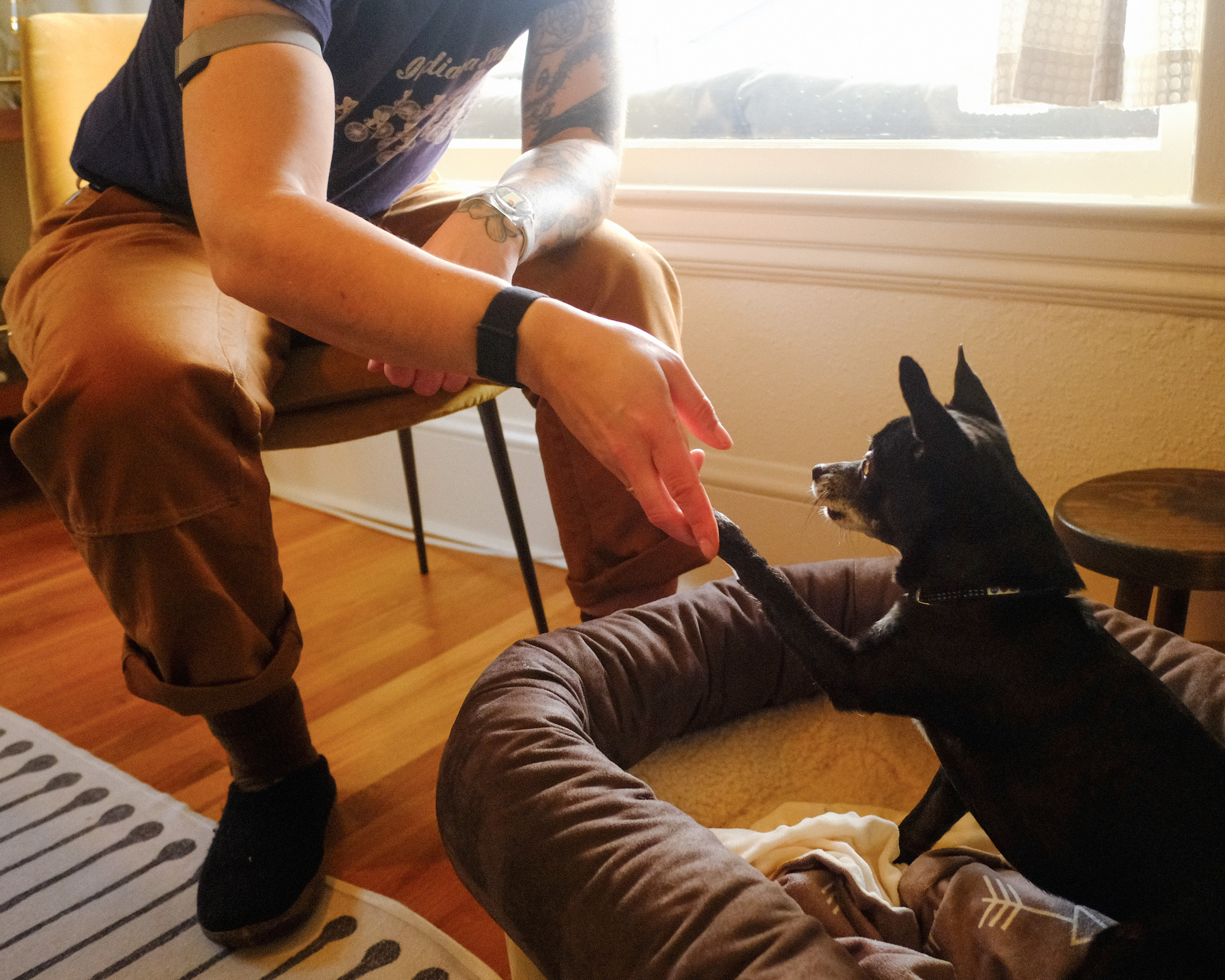 Arielle Duhaime-Ross trains their dog, Reggie.