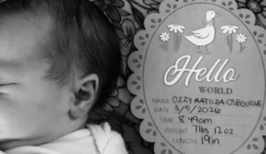 Yahoo entertainment home