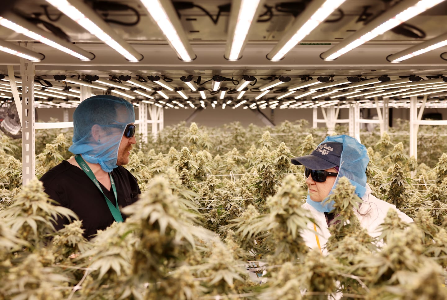 Cultivation manager Brian Kelley (left) gave Brodin a tour of the grow house at Thrive Dispensary.