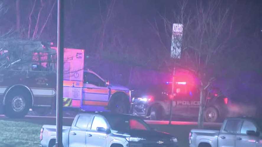 Pedestrian dies in hit-and-run in Wilkins Township, Pennsylvania