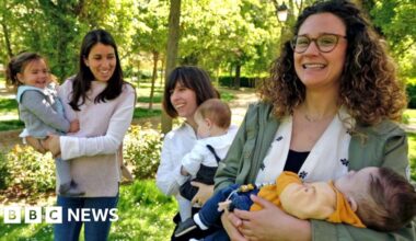 Pregnant women's brains shed grey matter to prime them for motherhood, study suggests - BBC