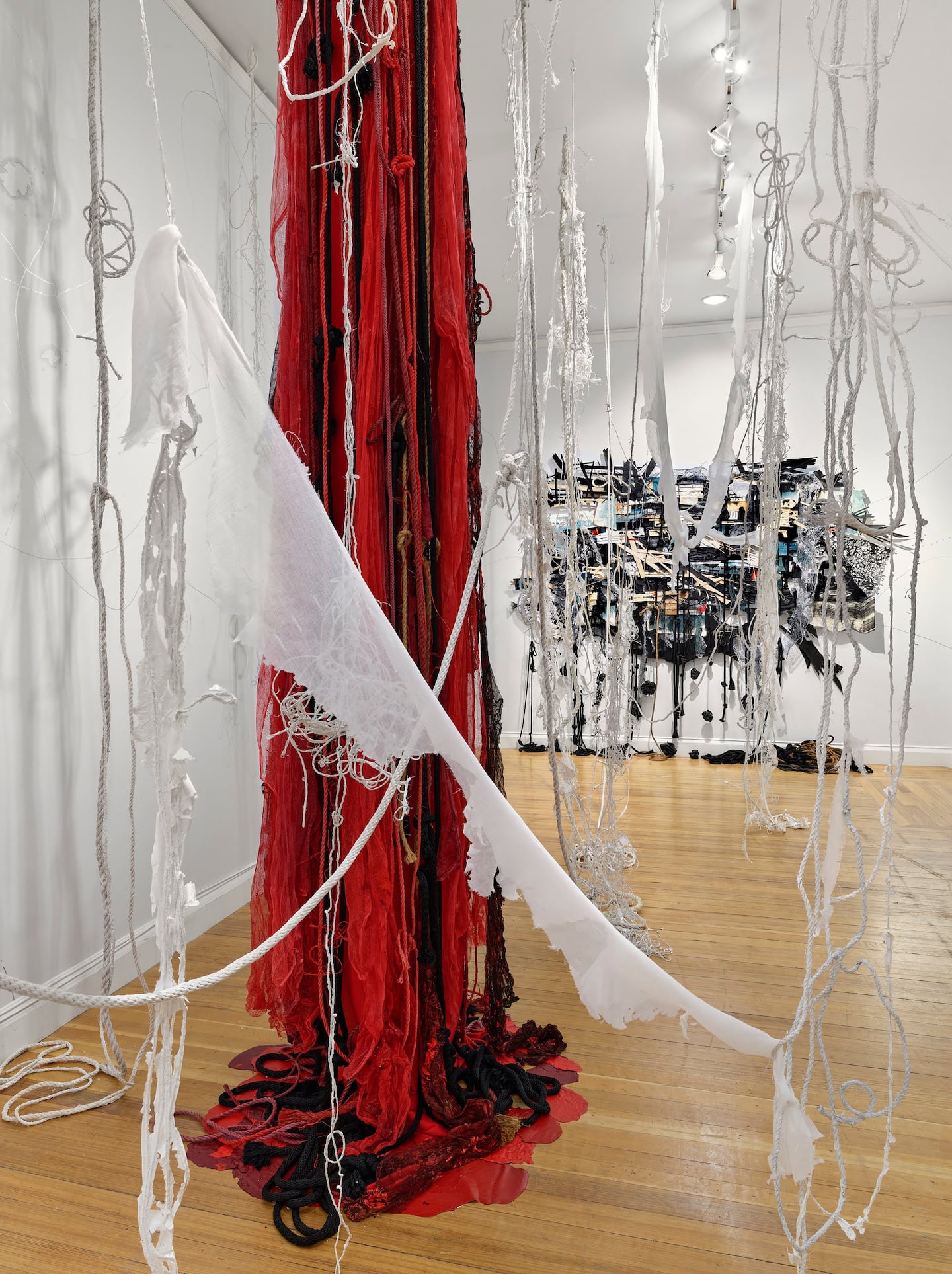Heidi Whitman, "Ahab’s Head: American Vengeance" (installation), 2020-2025. Ink, gouache, acrylic, paper, canvas, cloth, string, rope, wood, Cinefoil, sound, and cast shadows. Dimensions variable.
