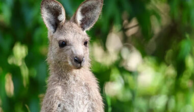 Yahoo lifestyle home