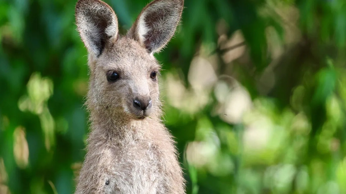 Yahoo lifestyle home