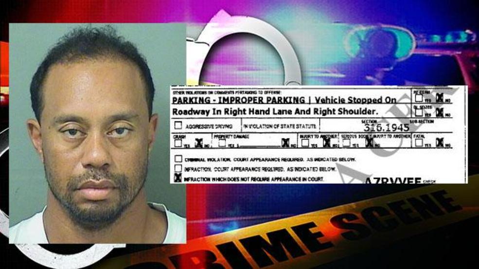 Tiger Woods is due in court in August following his DUI arrest in Jupiter. (Image Courtesy: PBSO)
