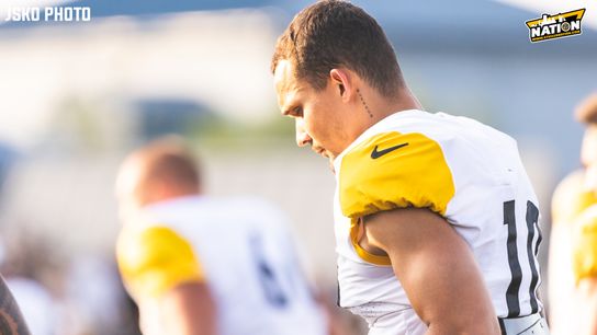 Steelers Roman Wilson