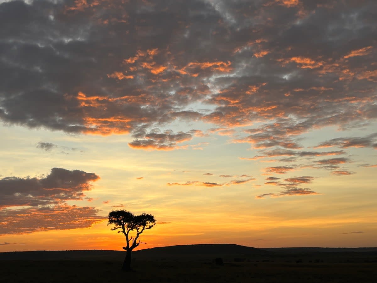 The shoulder period, from mid-October to March, is a quieter time to visit the Maasai Mara (Kate Wickers)