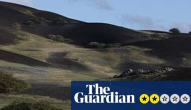 Terraforma review – unhurried portrait of Ascension Island’s human-made nature | Movies