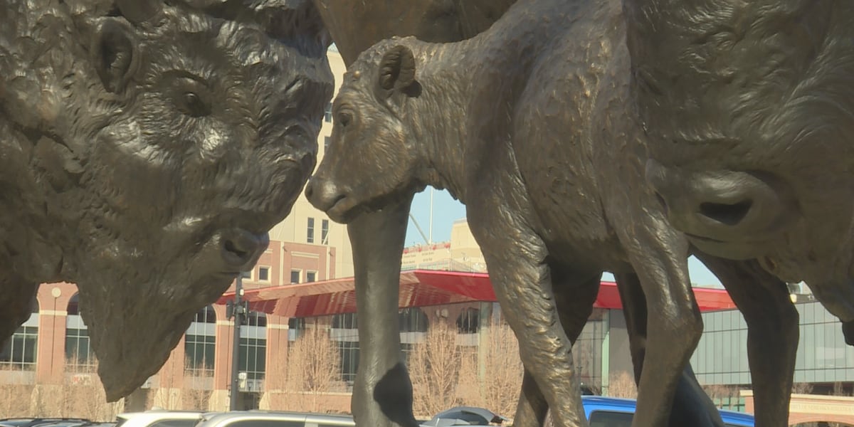 Bronze bison sculptures stop at UNL on cross-country trip to Smithsonian