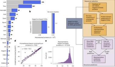 Prediction of eukaryotic cellular complexity in Asgard archaea using structural modelling