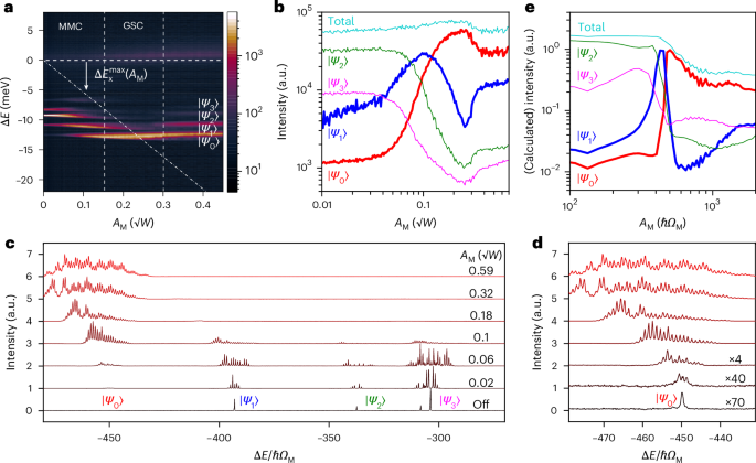 Fig. 2: Modulation-induced population transfer and coherence.