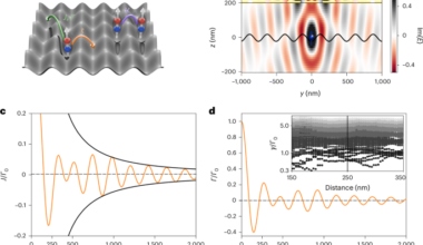 Bose–Hubbard simulator with long-range hopping