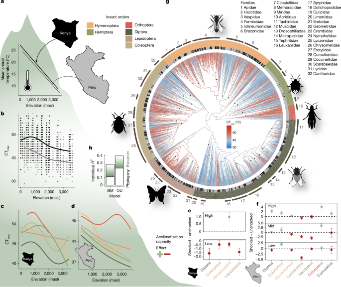 Limited thermal tolerance in tropical insects and its genomic signature