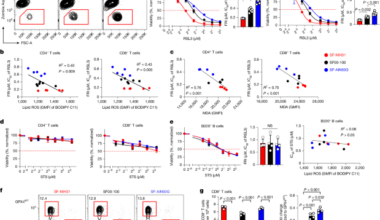 Lipid metabolism drives dietary effects on T cell ferroptosis and immunity