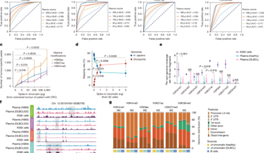 Cell-free chromatin state tracing reveals disease origin and therapy responses