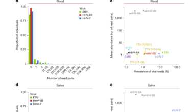 The DNA virome varies with human genes and environments