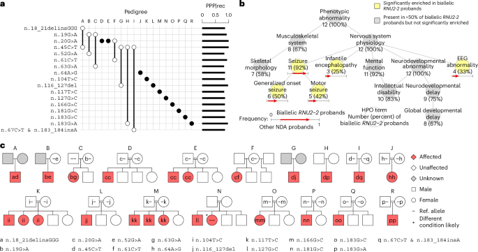Fig. 2: Tier 1 cases in the NGRL.