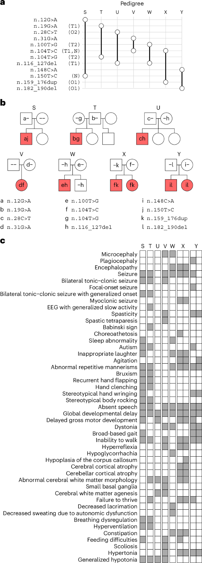 Fig. 3: Replication findings.