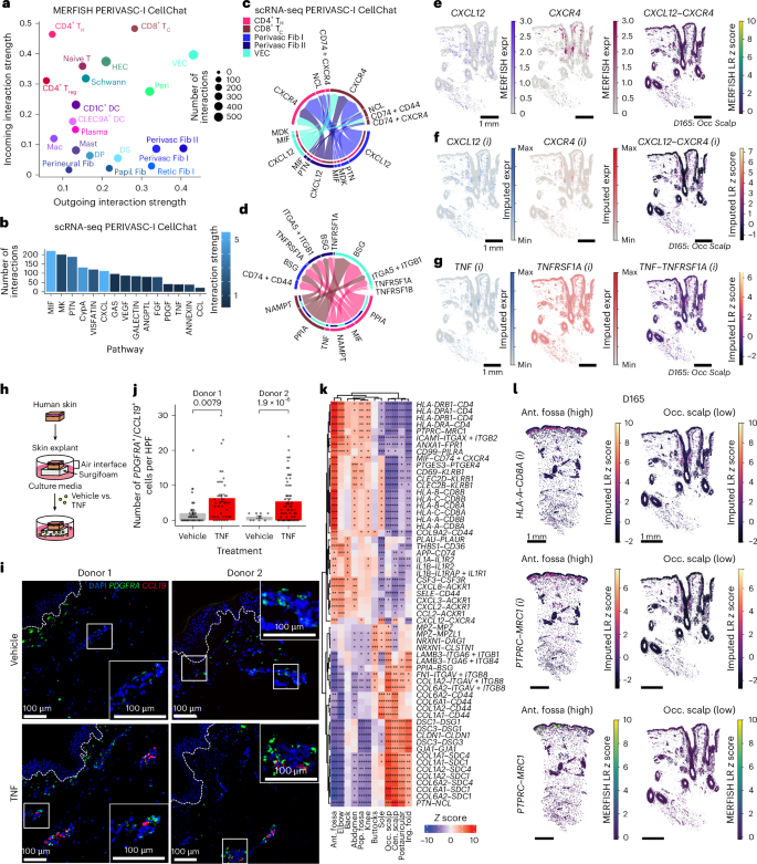 Fig. 5: Neighborhoods define cell–cell communication within and across sites.