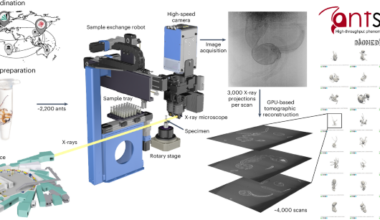 High-throughput phenomics of global ant biodiversity