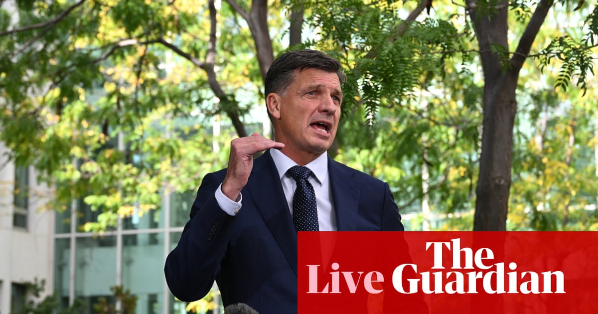 Politics live: Angus Taylor shuts down Andrew Hastie’s suggestion of a gas export tax; One Nation projected to win third South Australian seat | Australia news