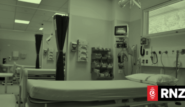 Health NZ staff told to stop using ChatGPT to write clinical notes