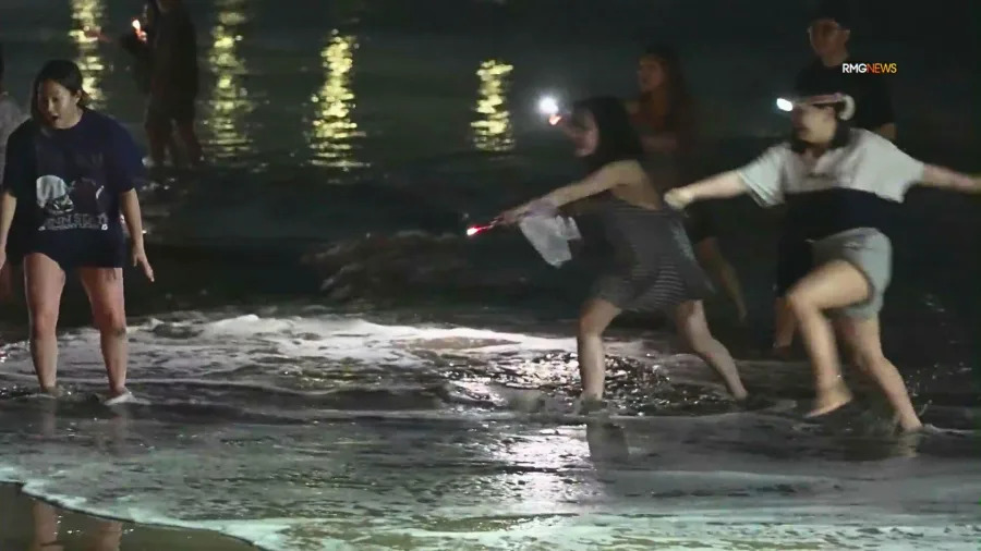 People catch grunion fish by hand at night during spawning run at Cabrillo Beach in San Pedro