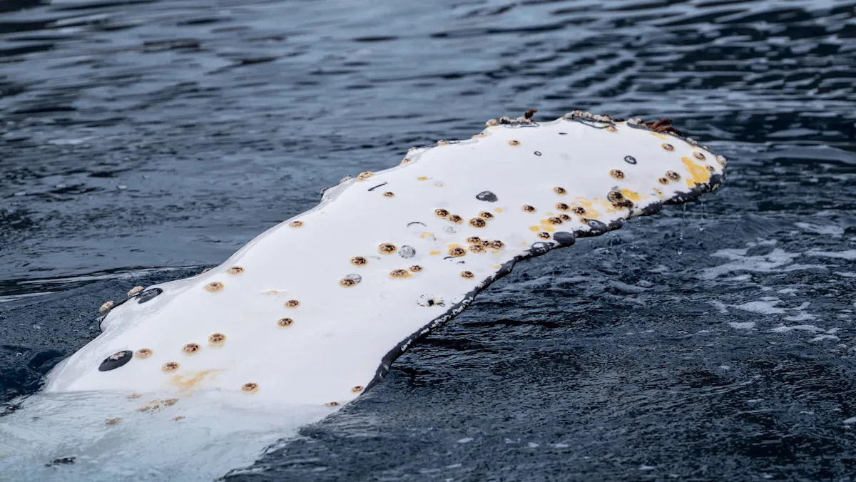 Yahoo lifestyle home