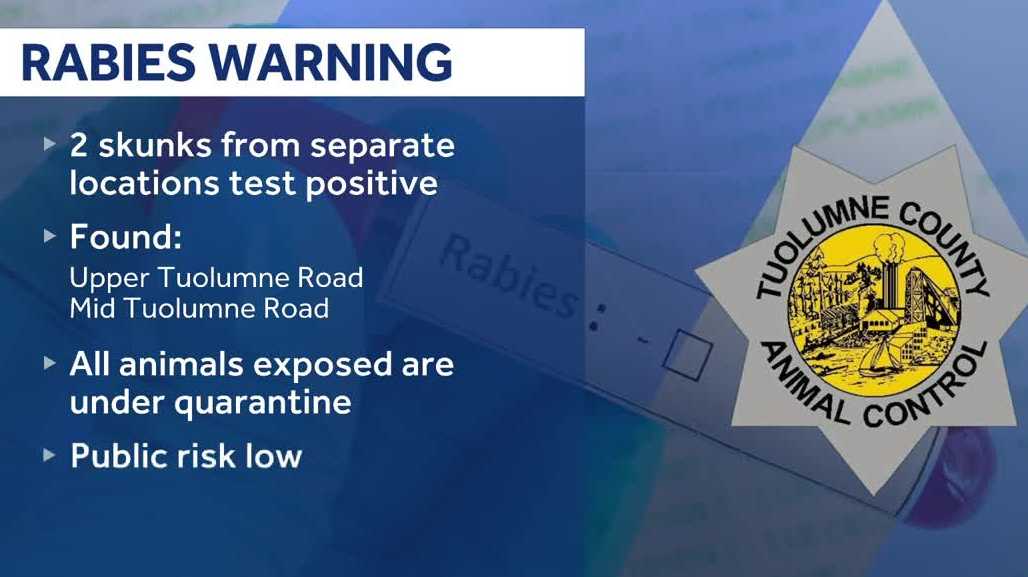 Rabid skunks found in Tuolumne County prompt caution