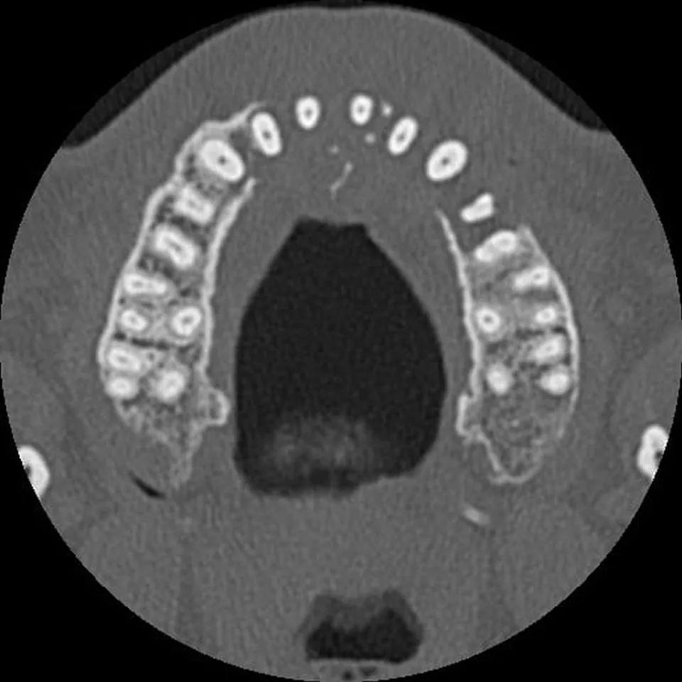 Edd Vieira's scansCredit: Kennedy News & Media