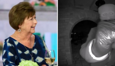 Guthrie family releases new statement as search for Nancy Guthrie continues