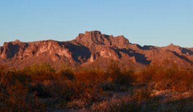 Rare ‘Cougar Shadow’ returns this weekend to Arizona’s Superstition Mountains