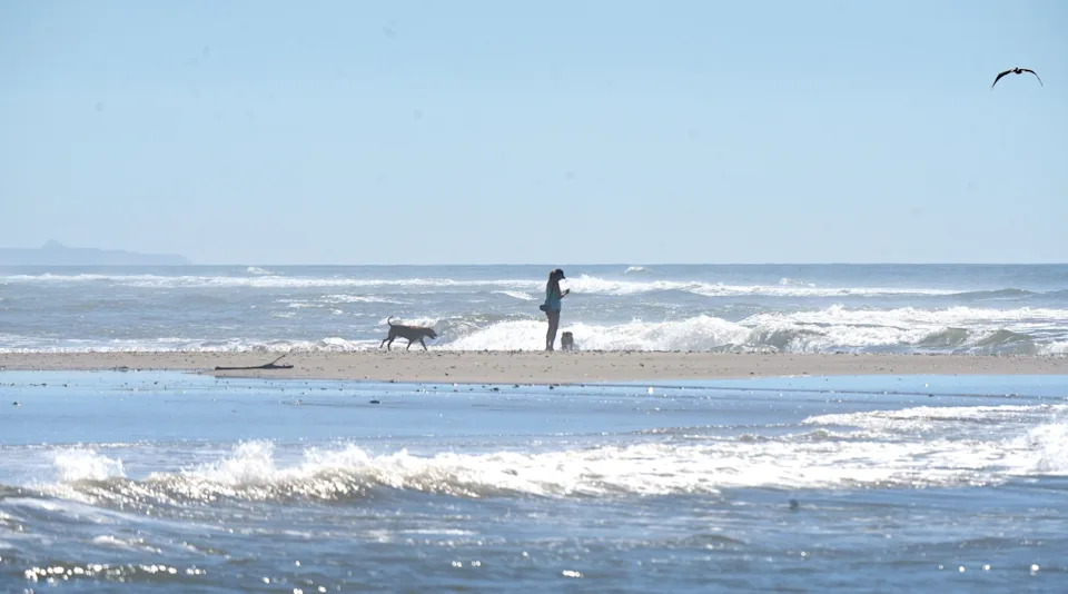 Waves wash over the sand at McGrath State Beach in the Oxnard area on Feb. 26. New research says a sandy stretch, including McGrath, is one of Southern California's fastest growing.