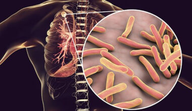 Key figures and statistics revealed