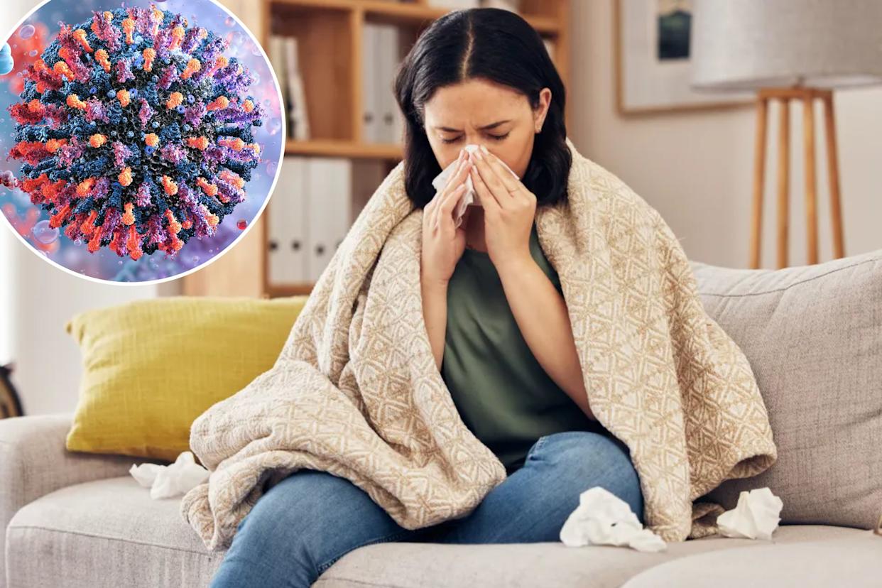 An image collage containing 2 images, Image 1 shows A young woman with a blanket over her is sitting on a sofa and blowing her nose into a tissue, Image 2 shows Illustration of a human metapneumovirus (HMPV) particle
