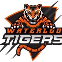 GIRLS BASKETBALL: Waterloo knocks off Dansville, captures Class B1 title | Breaking News