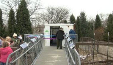 Henry Vilas Zoo reopens updated Tundra Buggy for polar bear conservation | Top Stories