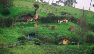 Palantir Urges Former Employees to Return: 'the Shire Is Calling'