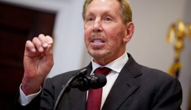 Oracle's Larry Ellison Downplays Software Apocalypse Fears