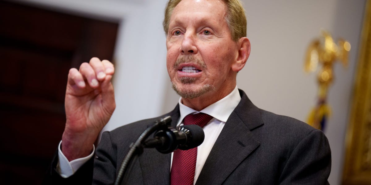 Oracle's Larry Ellison Downplays Software Apocalypse Fears