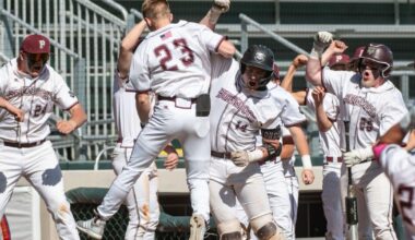 Palisade primed for strong spring on the diamond after last season's state tournament trip | Sports