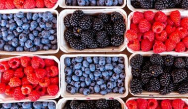 Brain aging slowed by over 2 years with unique diet | Health Watch