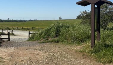 Rattlesnake Awareness Day aims to dispel misconceptions | News