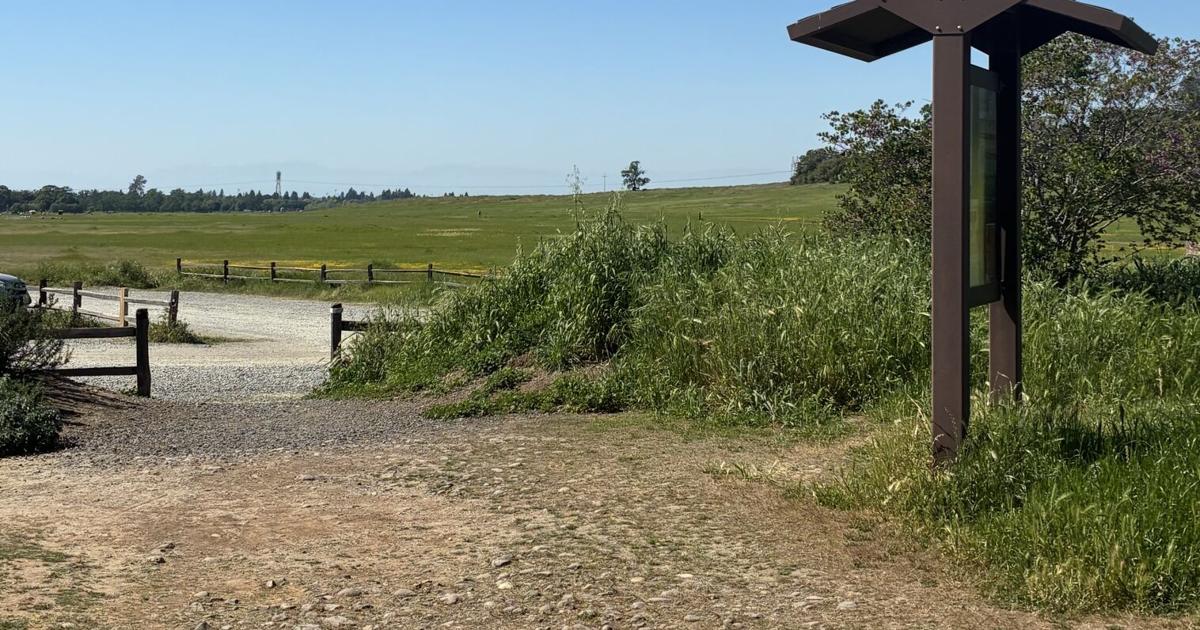 Rattlesnake Awareness Day aims to dispel misconceptions | News