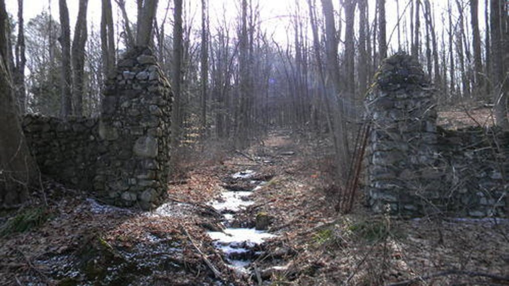 This CT frog freezes each winter and then thaws back to life. Here's why you may see more