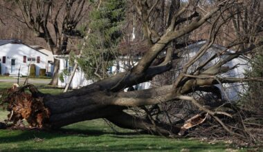 More than 48,000 without power as strong winds hit the Miami Valley
