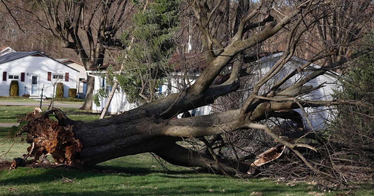 More than 48,000 without power as strong winds hit the Miami Valley