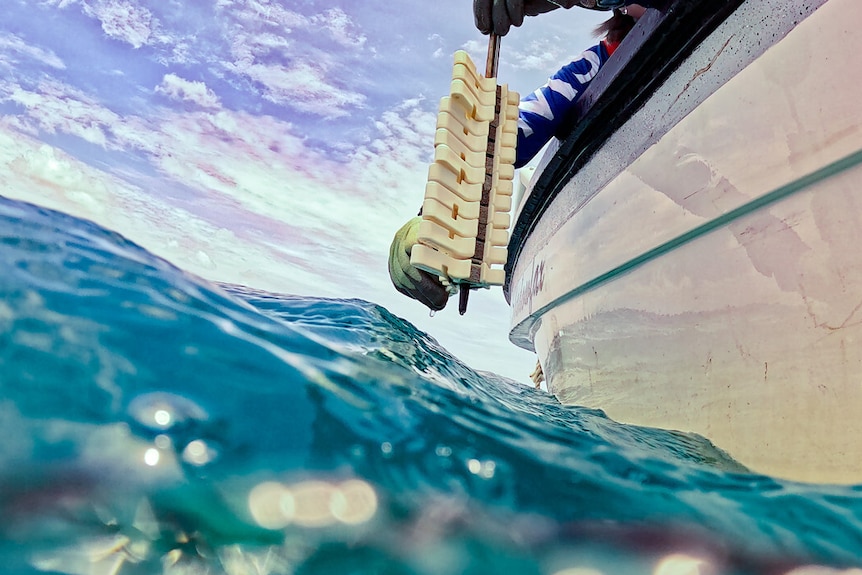 A stack of white triangle devices being dangled over the edge of a boat, ready to be dropped into the ocean.
